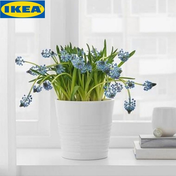 IKEA - MUSKOT Plant Pot = 15cm - Picture 1 of 14
